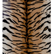 Royal Bengal Stripe Area Rug